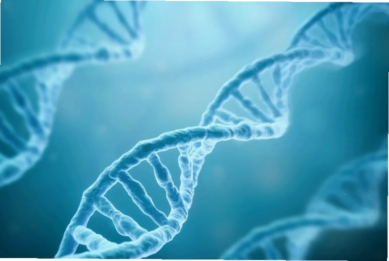 Bảng so sánh chi tiết sự giống và khác nhau giữa DNA và RNA