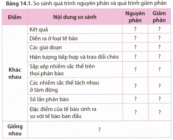 Bảng so sánh quá trình nguyên phân và giảm phân theo gợi ý