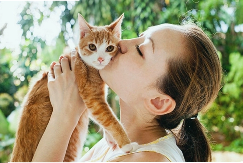 Bệnh hắc lào có thể lây từ mèo sang người