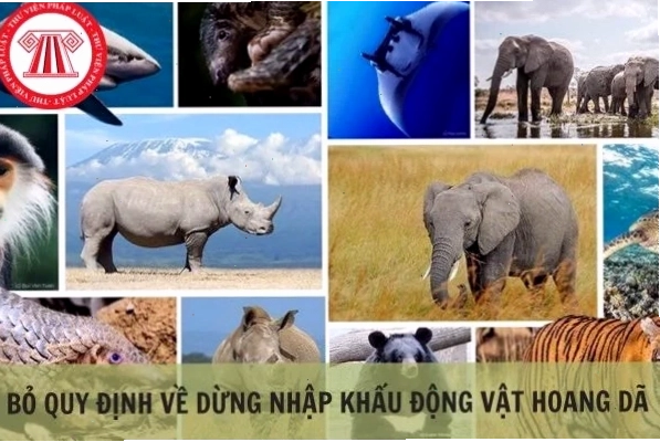 Biển báo cấm săn bắt động vật hoang dã