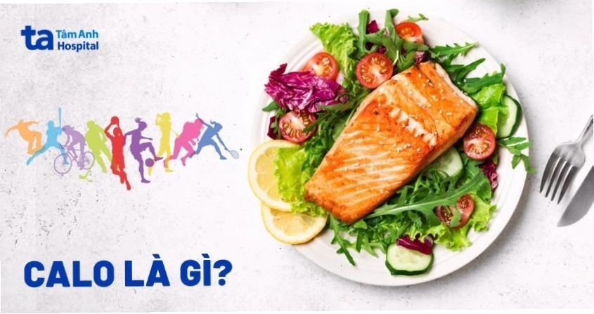 Biểu đồ calo và mối liên hệ với chỉ số BMI