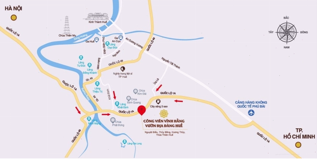 Biểu đồ minh họa các chức năng sinh học khi cơ thể ngừng hoạt động