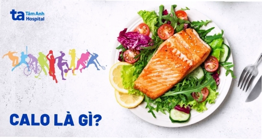Biểu đồ minh họa mối quan hệ giữa calo nạp vào và calo tiêu thụ