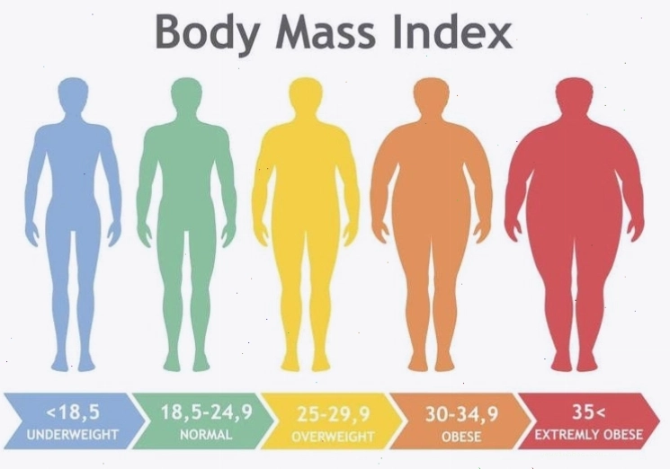 Biểu đồ phân loại chỉ số BMI: gầy, bình thường, thừa cân, béo phì