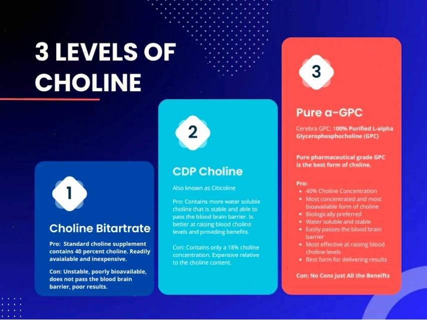 Biểu đồ so sánh các cấp độ choline khác nhau