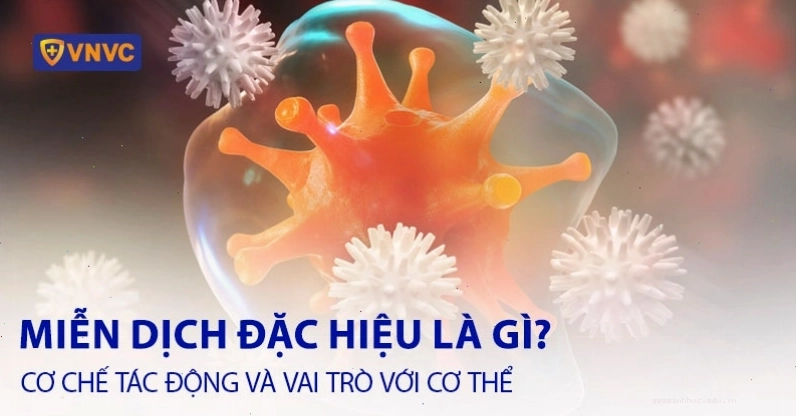 Biểu đồ so sánh miễn dịch đặc hiệu và không đặc hiệu