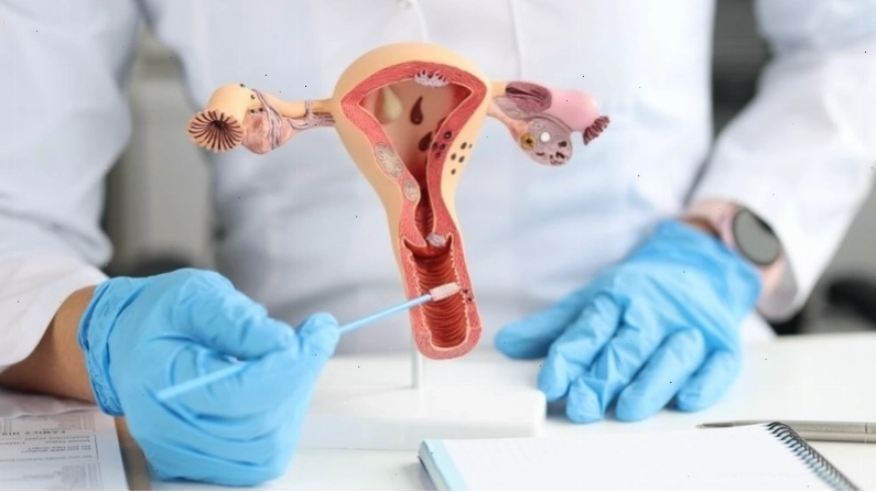Biểu tượng nữ giới trong sinh học và ý nghĩa