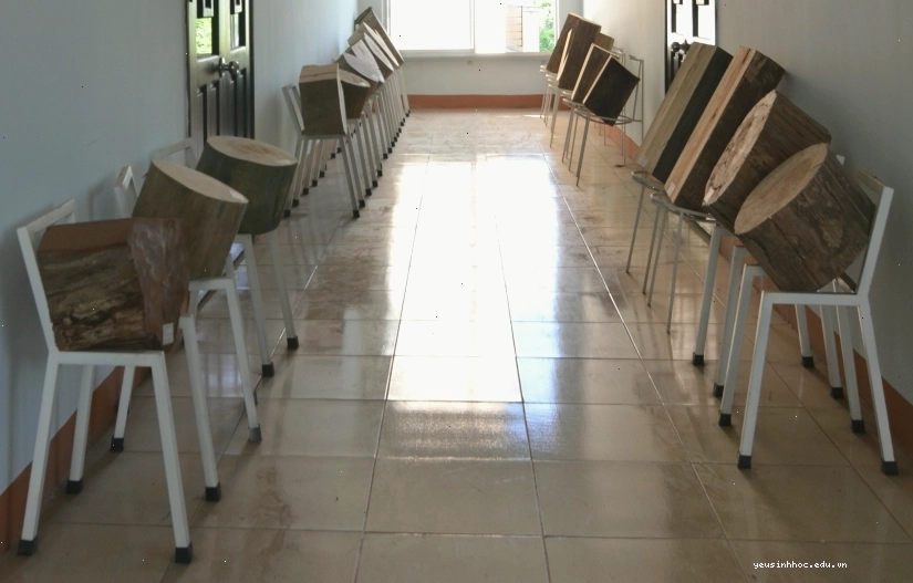 Bộ sưu tập mẫu gỗ rừng thể hiện sự đa dạng của thân cây thực vật bậc cao