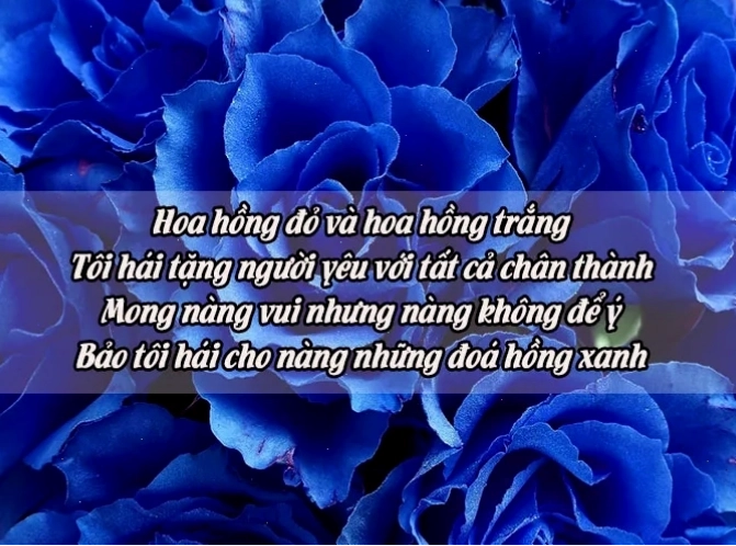 Bông hoa hồng vàng tinh tế
