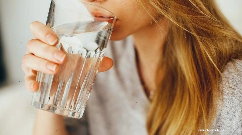 Bữa ăn lành mạnh gồm nhiều loại rau củ, trái cây và thịt nạc