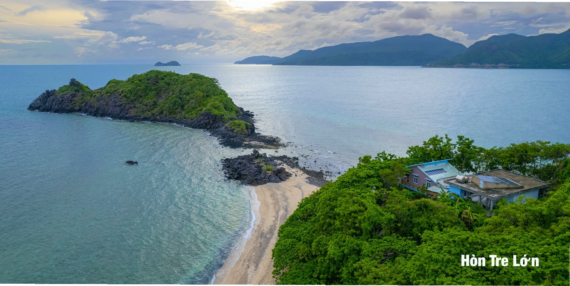 Cá Sấu Hoa Cà đang nghỉ ngơi trên bờ sông