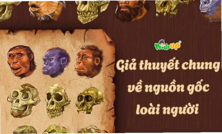 Các giả thuyết về nguồn gốc loài người và mối liên hệ với người vượn cổ