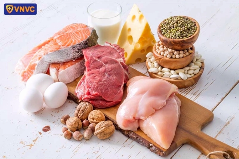 Các loại thực phẩm giàu protein tốt cho sức khỏe