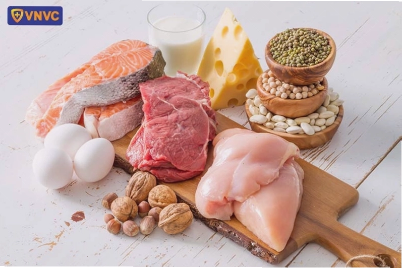 Các loại thực phẩm giàu protein tốt cho sức khỏe