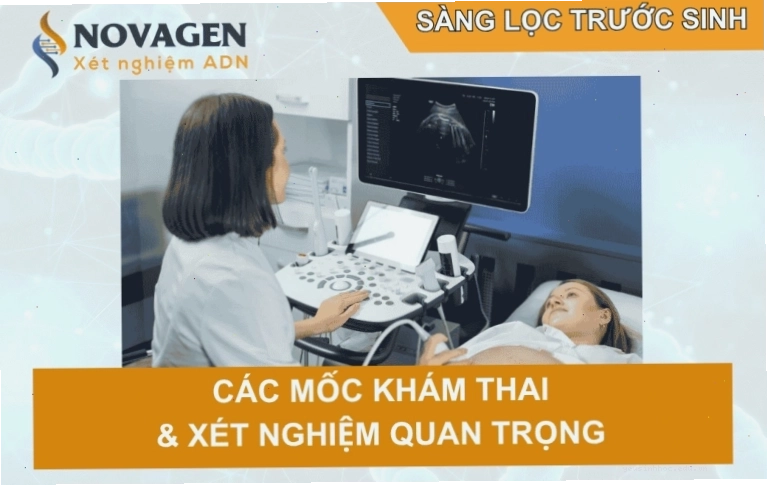Các mốc khám thai và xét nghiệm quan trọng trong sàng lọc trước sinh