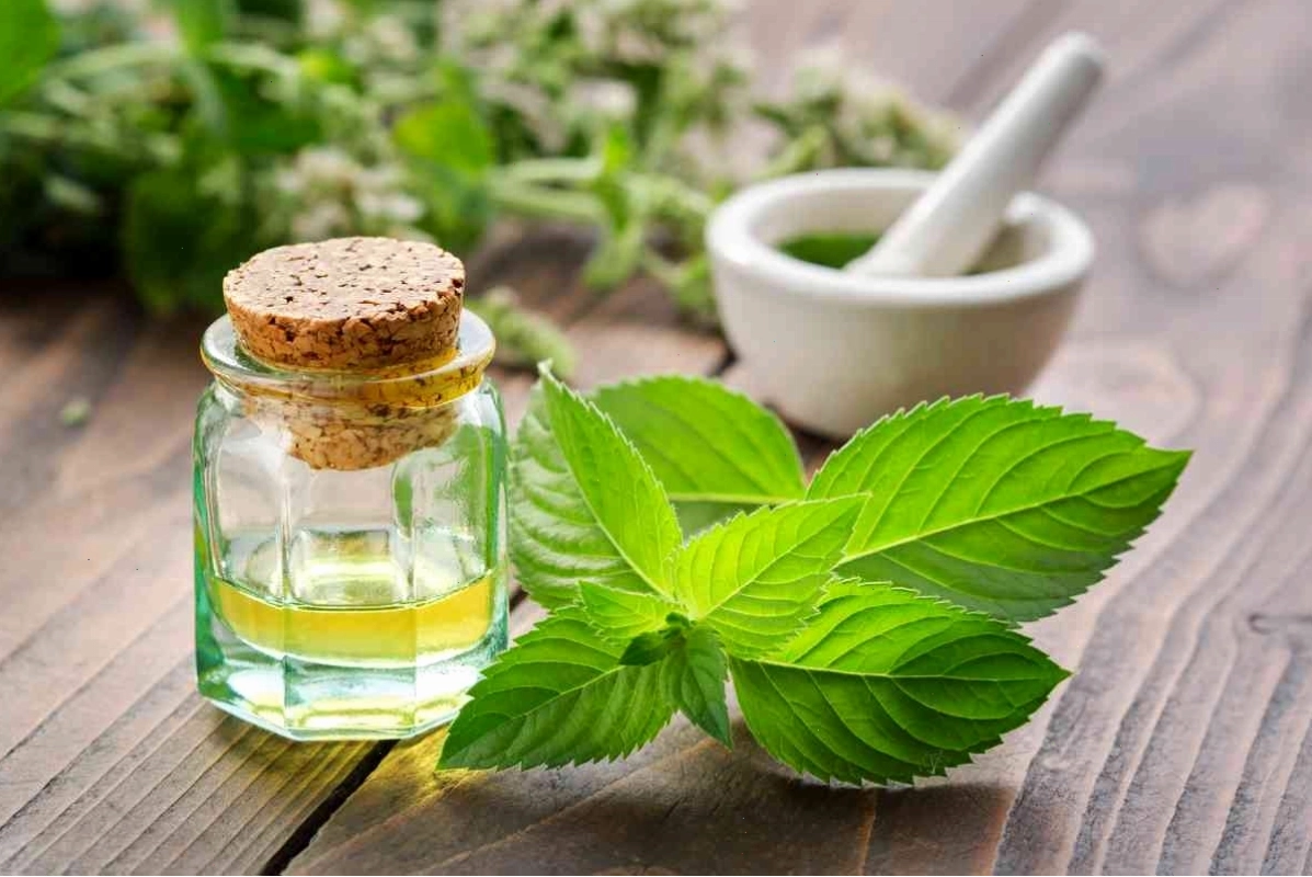 Các sản phẩm thuốc bảo vệ thực vật sinh học từ thảo mộc tự nhiên