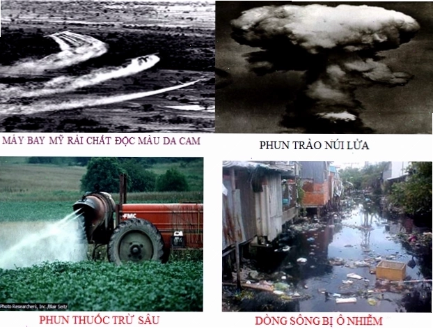 Các tác nhân vật lý và hóa học gây đột biến nhiễm sắc thể