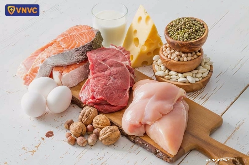 Các thực phẩm chứa protein tốt cho sức khỏe