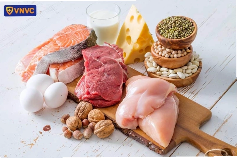 Các thực phẩm giàu protein tốt cho sức khỏe