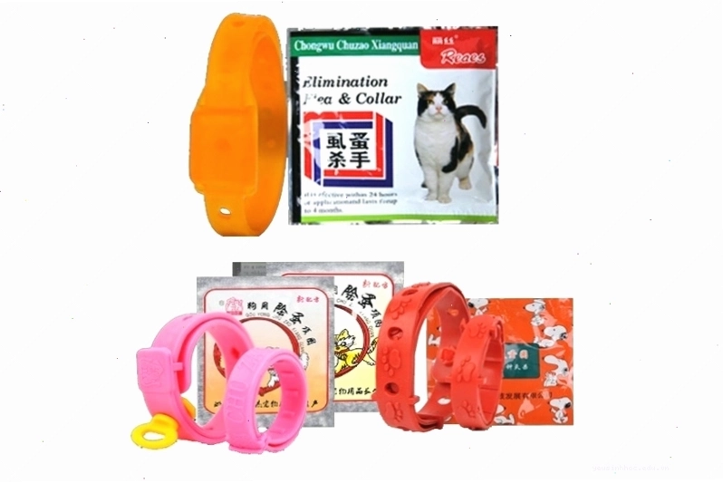 Cách xử lý khi bị rận mèo cắn để giảm đau nhanh chóng.