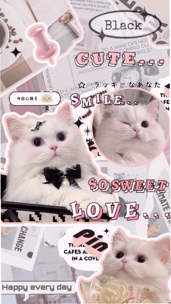 Cặp đôi cô gái chibi dễ thương