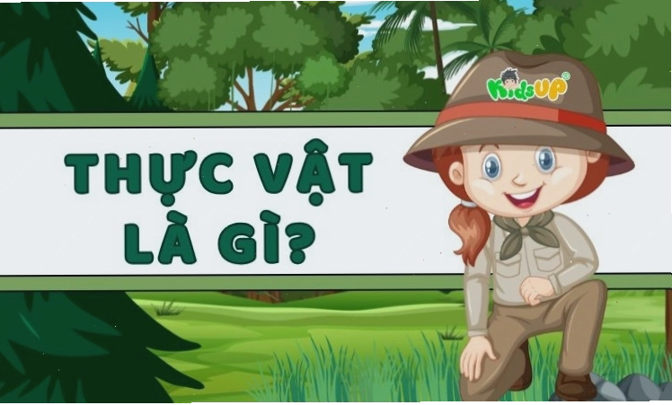 Cấu tạo chi tiết của một cây thực vật gồm rễ, thân, lá, hoa, quả