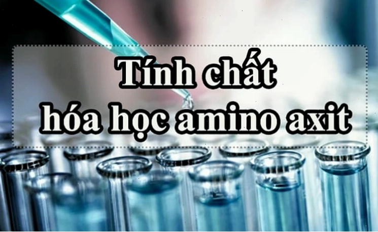 Cấu trúc chung của một phân tử amino acid với các thành phần cơ bản