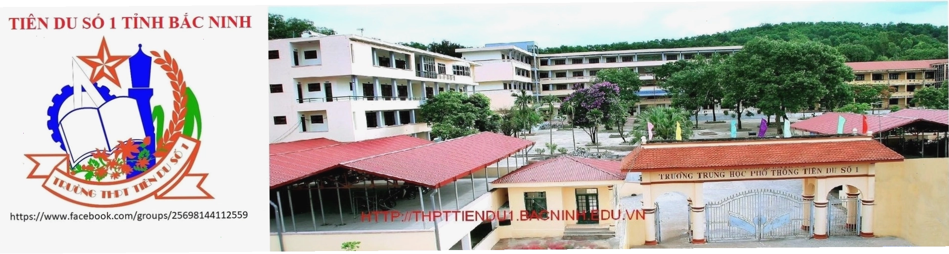 Cấu trúc nhiễm sắc thể trong tế bào