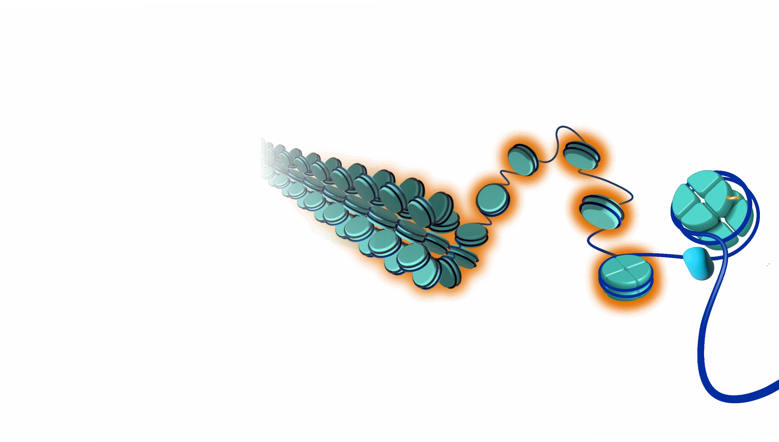 Cấu trúc Nucleosome và vai trò trong đóng gói DNA