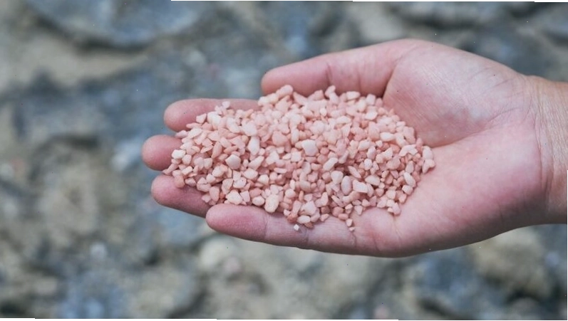 Cây trồng hấp thụ phân bón kali để phát triển khỏe mạnh