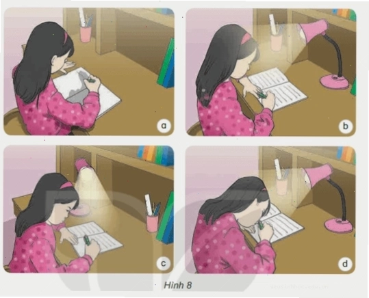 Cây xanh vươn mình về phía ánh sáng mặt trời