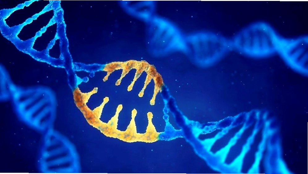 Chỉ số BMI và vai trò của yếu tố di truyền trong bệnh béo phì