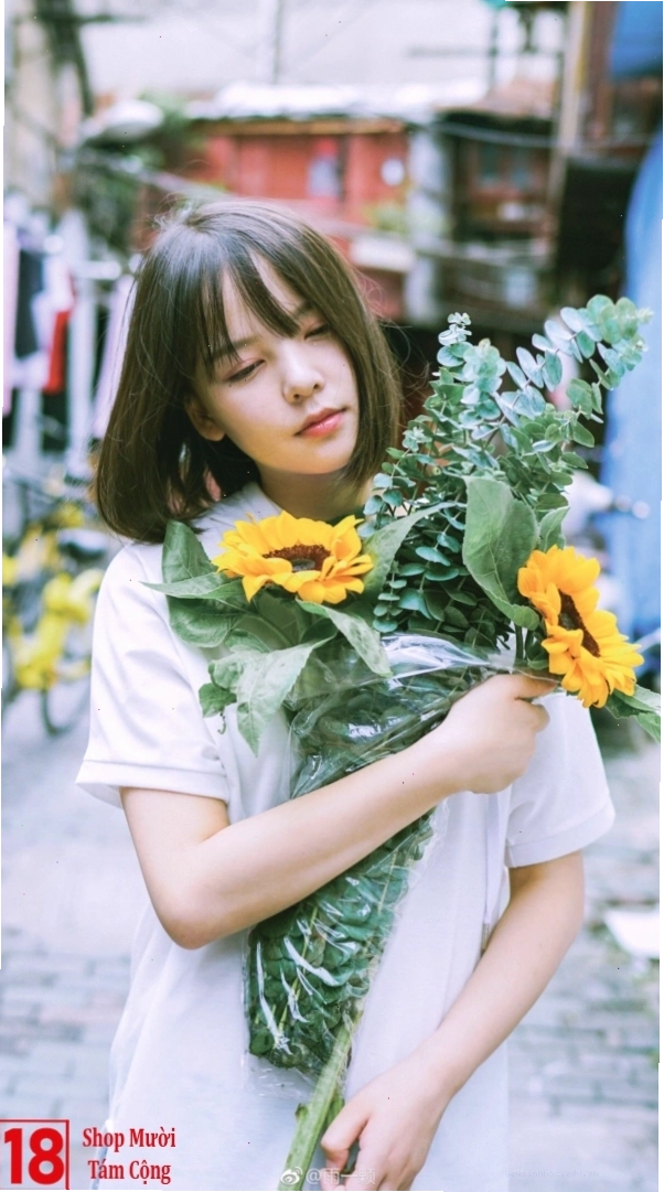 Cô gái đang ngắm nhìn những bông hoa hướng dương trong một cánh đồng rộng lớn
