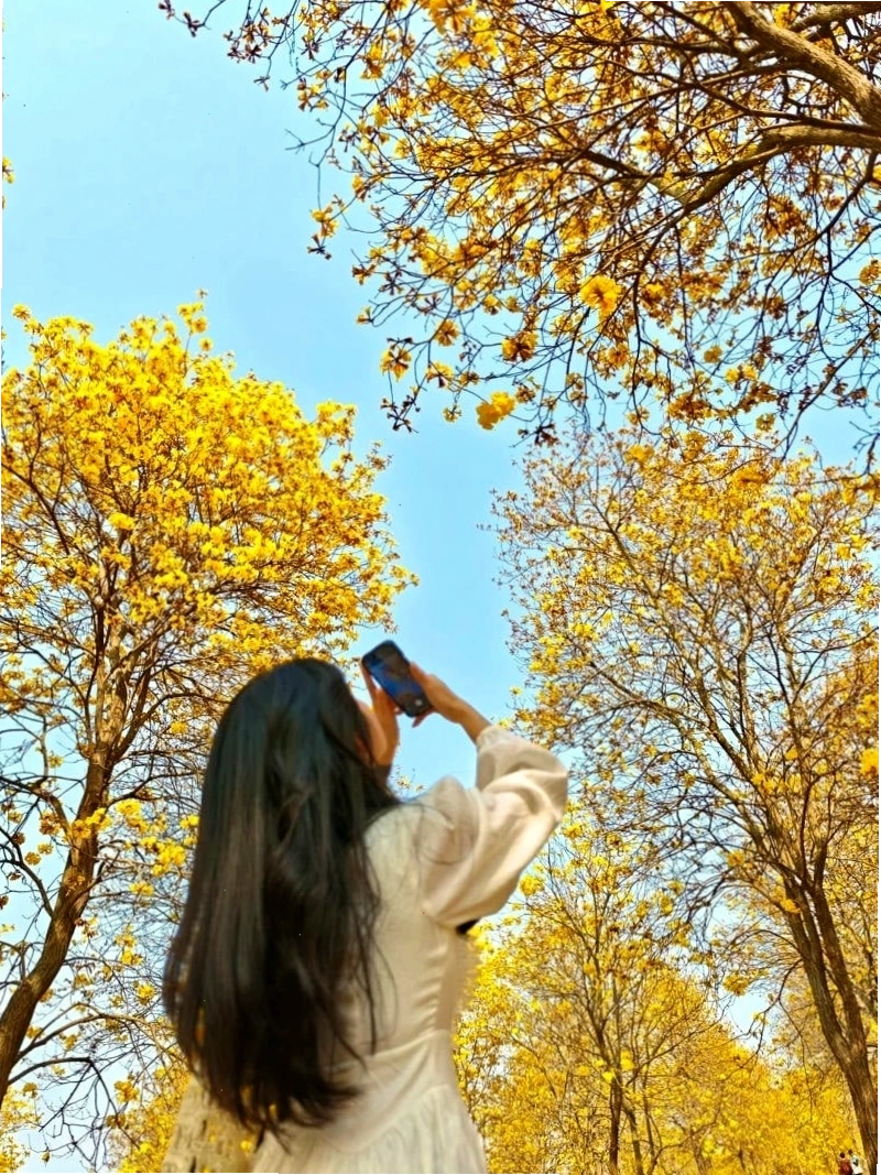 Cô gái tạo dáng ngắm cảnh từ trên cao