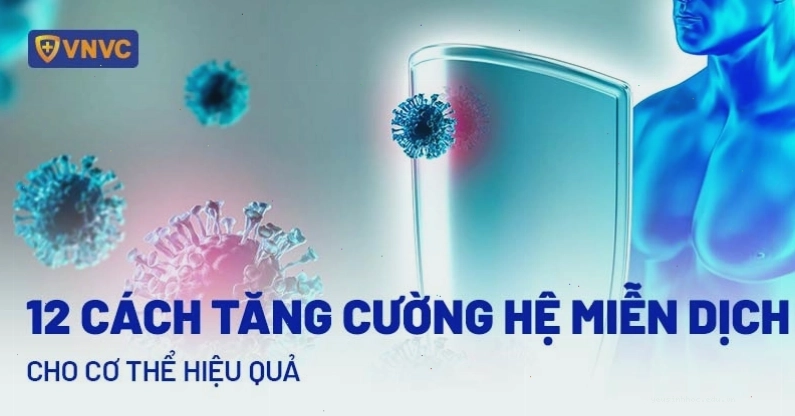 Cơ thể khỏe mạnh nhờ bổ sung các loại trái cây và rau củ tươi ngon