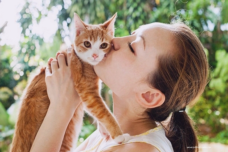 Con người có thể lây hắc lào từ mèo qua tiếp xúc