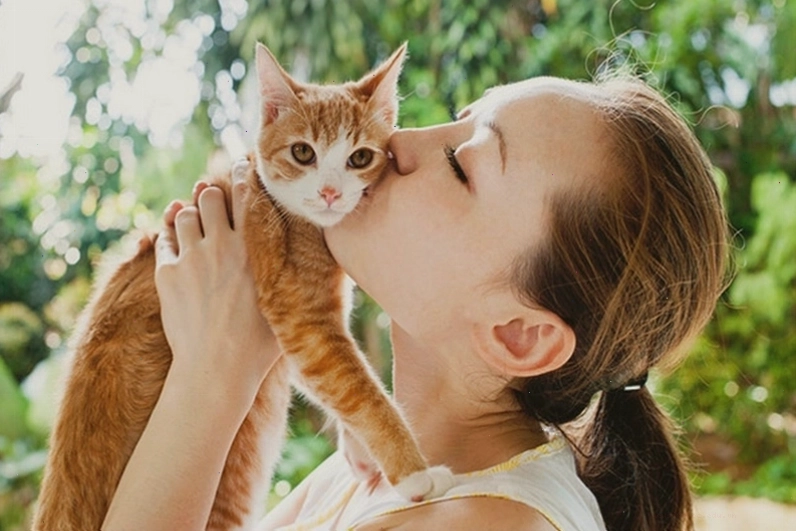 Con người cũng có thể lây hắc lào từ mèo