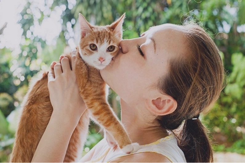 Con người cũng có thể lây hắc lào từ mèo, cần điều trị bằng thuốc kháng nấm