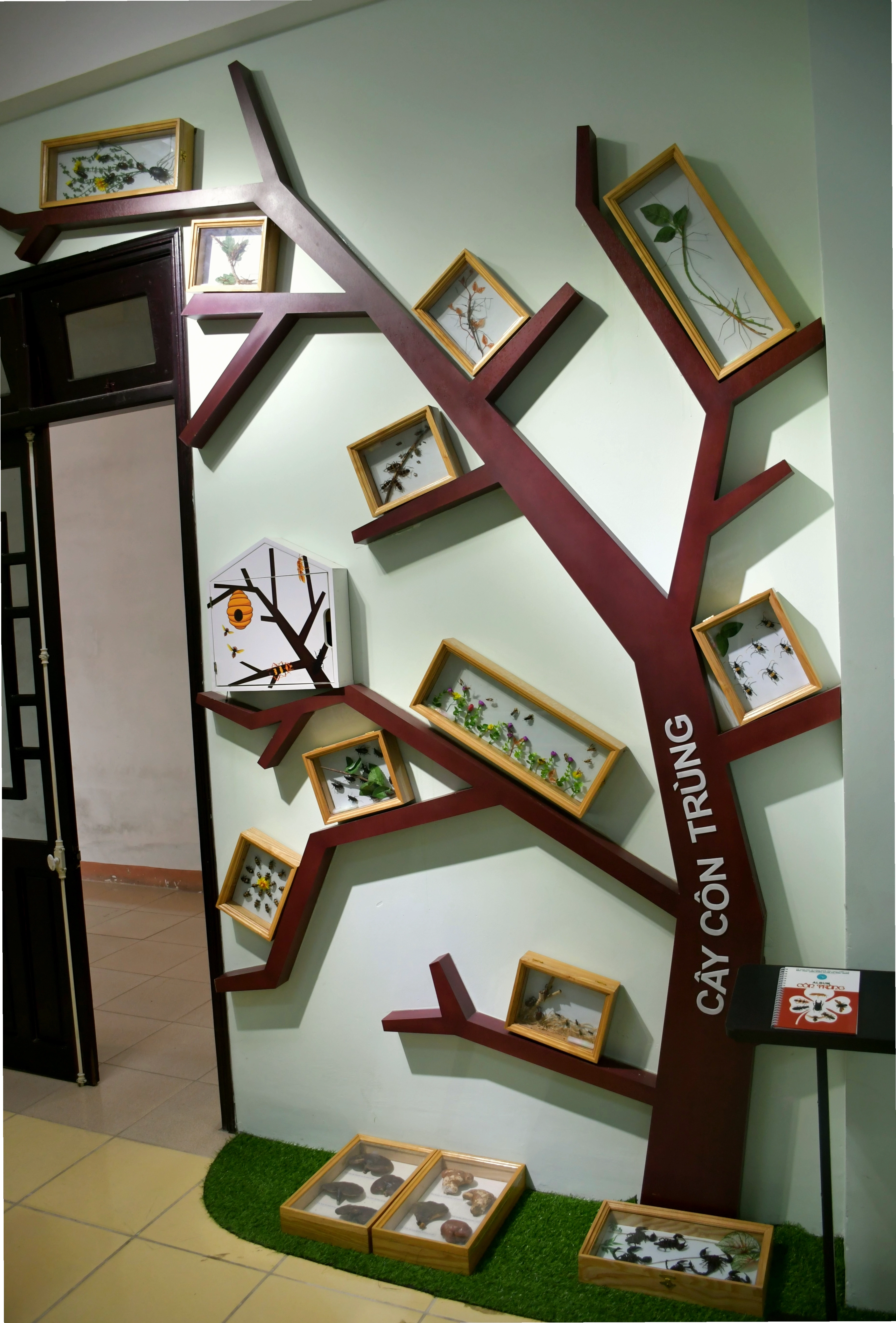 Côn trùng trên lá cây, minh họa mối liên hệ giữa động vật và thực vật bậc cao
