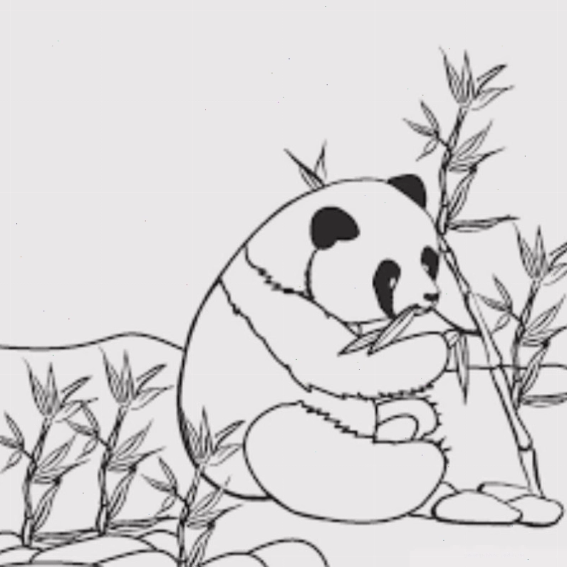 Con vật trong rừng ấn tượng