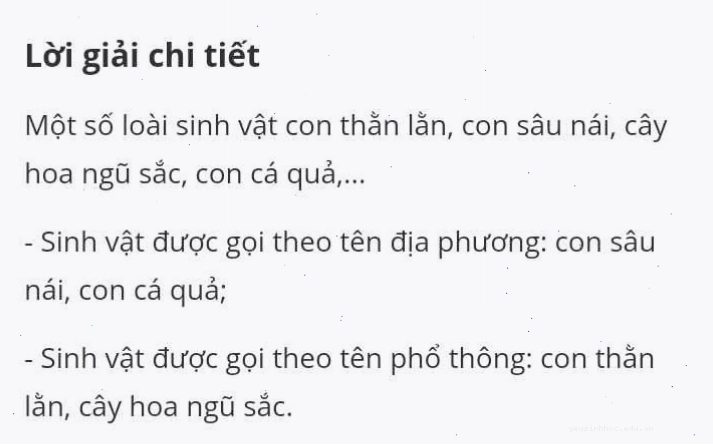 Đàn chim di cư trên bầu trời