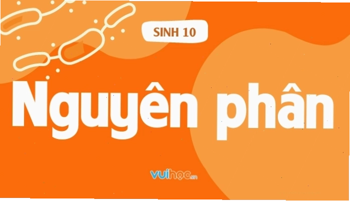 Diễn biến kỳ đầu của quá trình nguyên phân