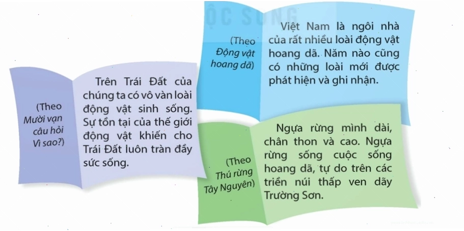 Đọc sách báo khoa học về động vật hoang dã