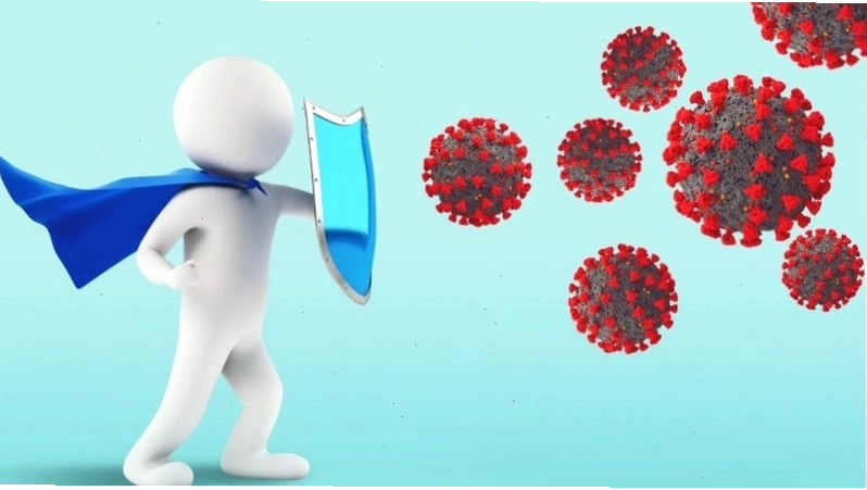 Dung nạp miễn dịch giúp hệ miễn dịch phân biệt tác nhân gây hại và yếu tố vô hại