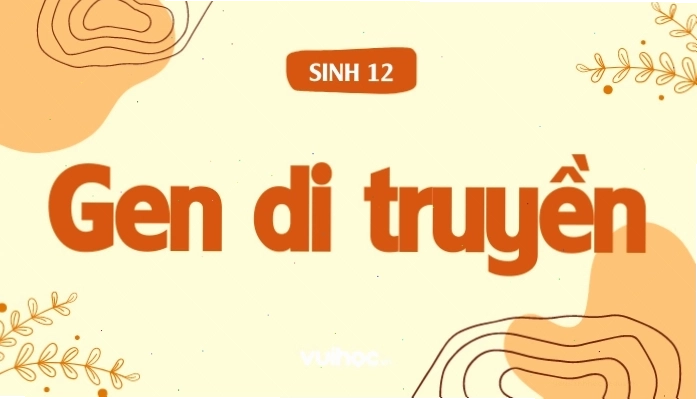 Gen di truyền là gì, nguyên lý hoạt động và ứng dụng