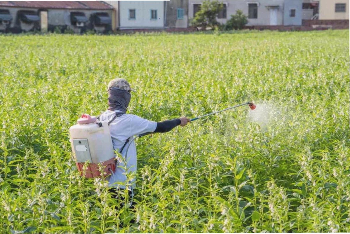 Giới thiệu các sản phẩm thuốc bảo vệ thực vật sinh học thông dụng