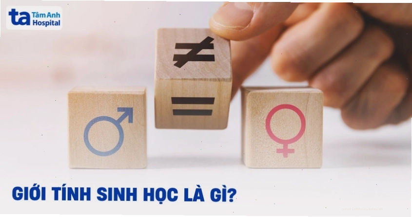Giới tính sinh học được xác định như thế nào