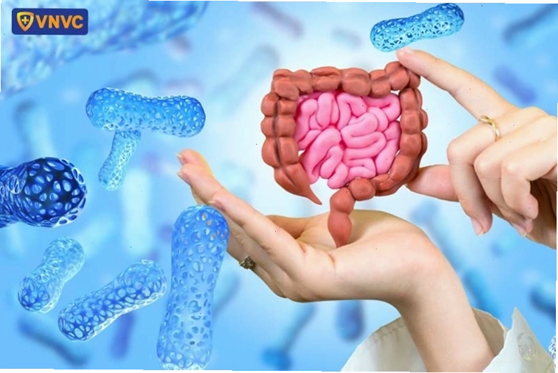 Hệ tiêu hóa khỏe mạnh là nền tảng cho một hệ miễn dịch tốt