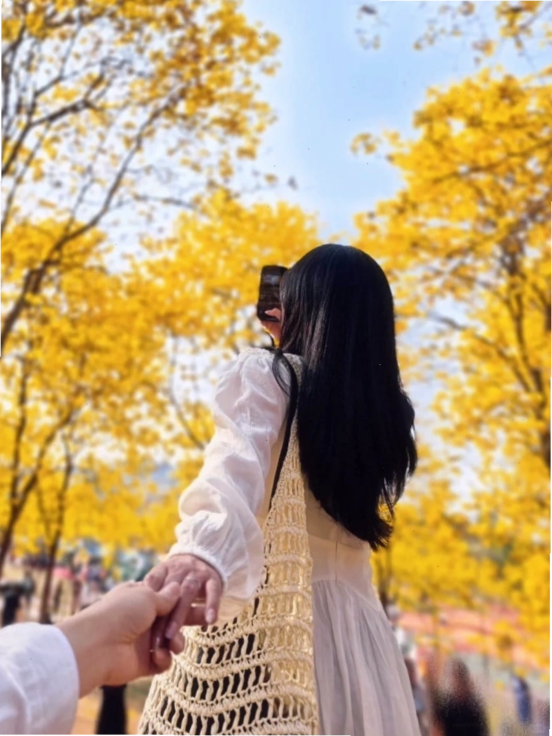 Hình ảnh cô gái tóc dài sau lưng nhìn ra biển