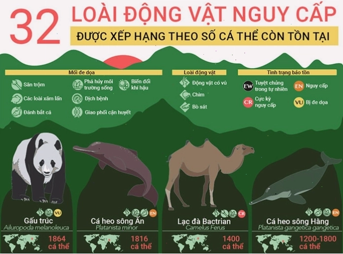 Hình ảnh minh họa các loài động vật có nguy cơ tuyệt chủng